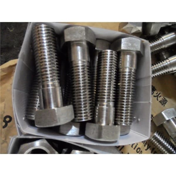 Perns hexagonals SS 4